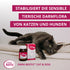 OMNi-BiOTiC CAT & DOG stabilisiert die sensible Darmflora von Katzen und Hunden